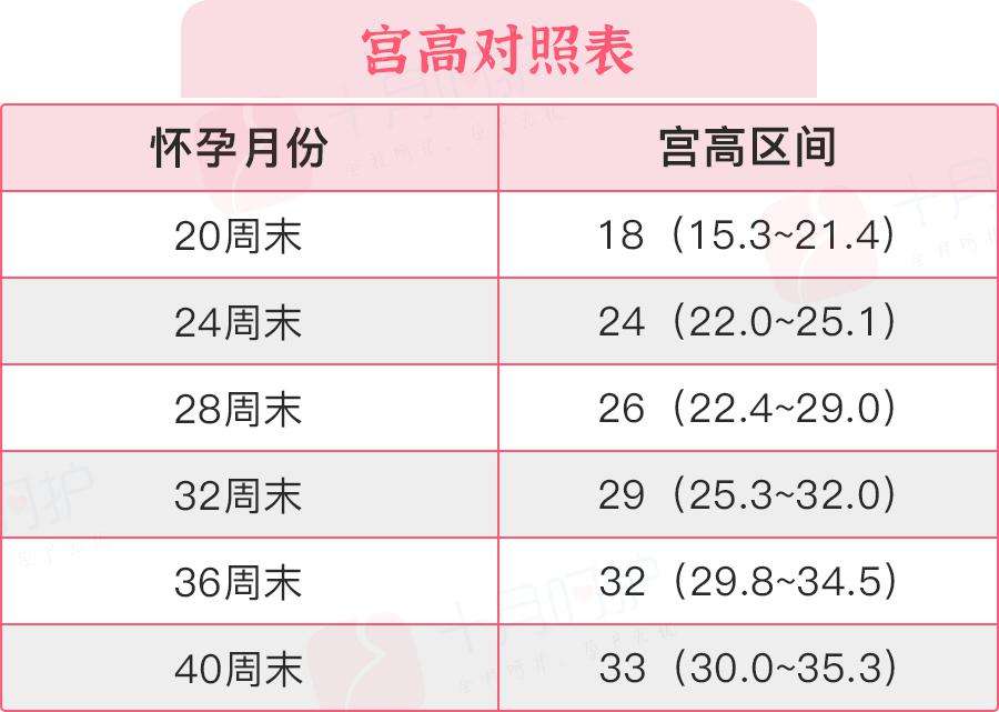 做一次多少费用！全国最大的代孕机构“详细解释”-第2张图片-依高网