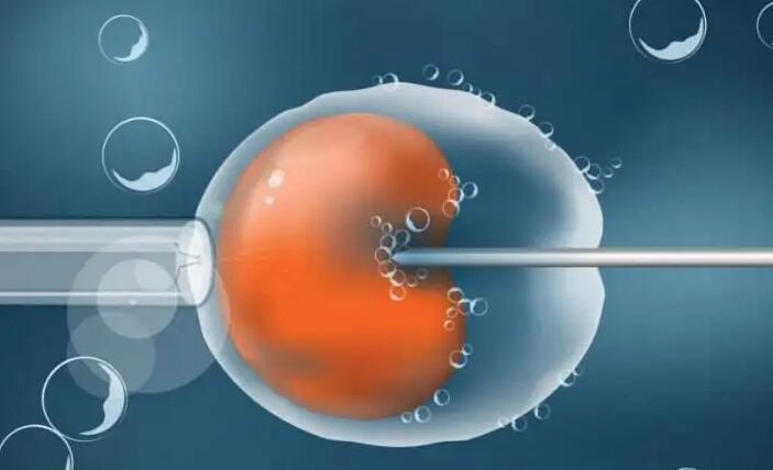 广州三代试管供卵孩子中介_一些流程你必须知道！_添宝助孕中心am-第2张图片-依高网