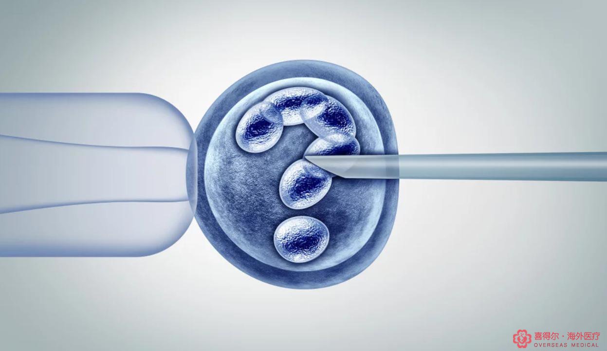 国内医院代孕_考虑选择只需要搞清楚这几点_doh-第2张图片-依高网